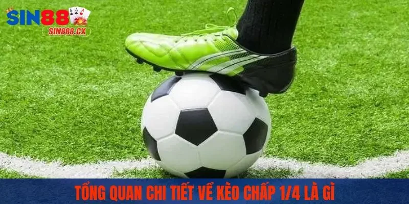 Kèo Chấp 1/4 Là Gì? SIN88 Hỗ Trợ Giải Đáp Cho Người Mới 1 Tổng quan chi tiết về kèo chấp 1/4 là gì